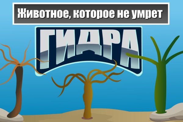 Kraken официальная ссылка