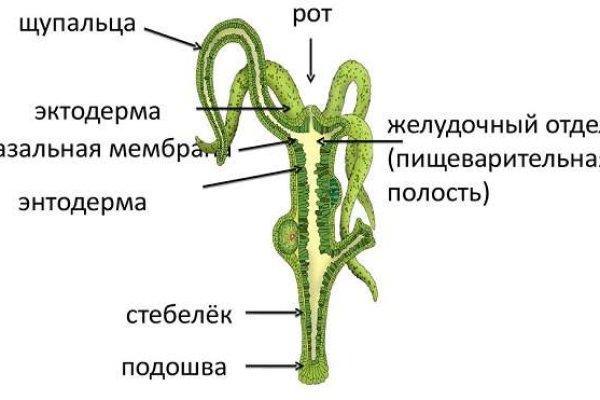 Даркнет знакомства