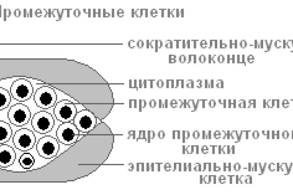 Браузер для кракен